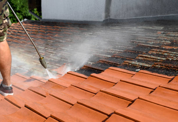 Best Power Washing Near Me  in Enochville, NC